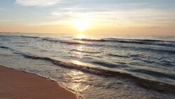 SunsetVideo