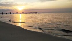 SunsetVideo
