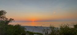 sunset203