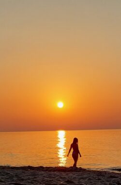 sunset
