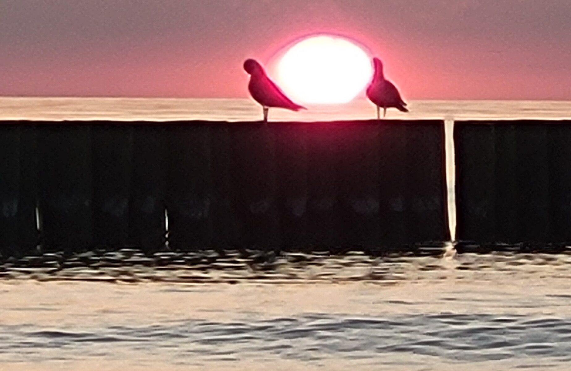 sunset52