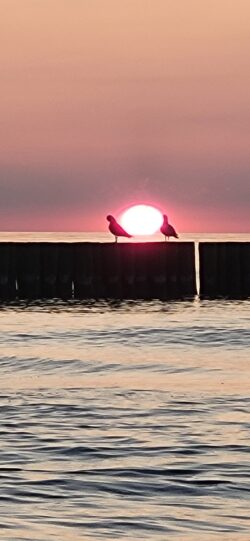 sunset52