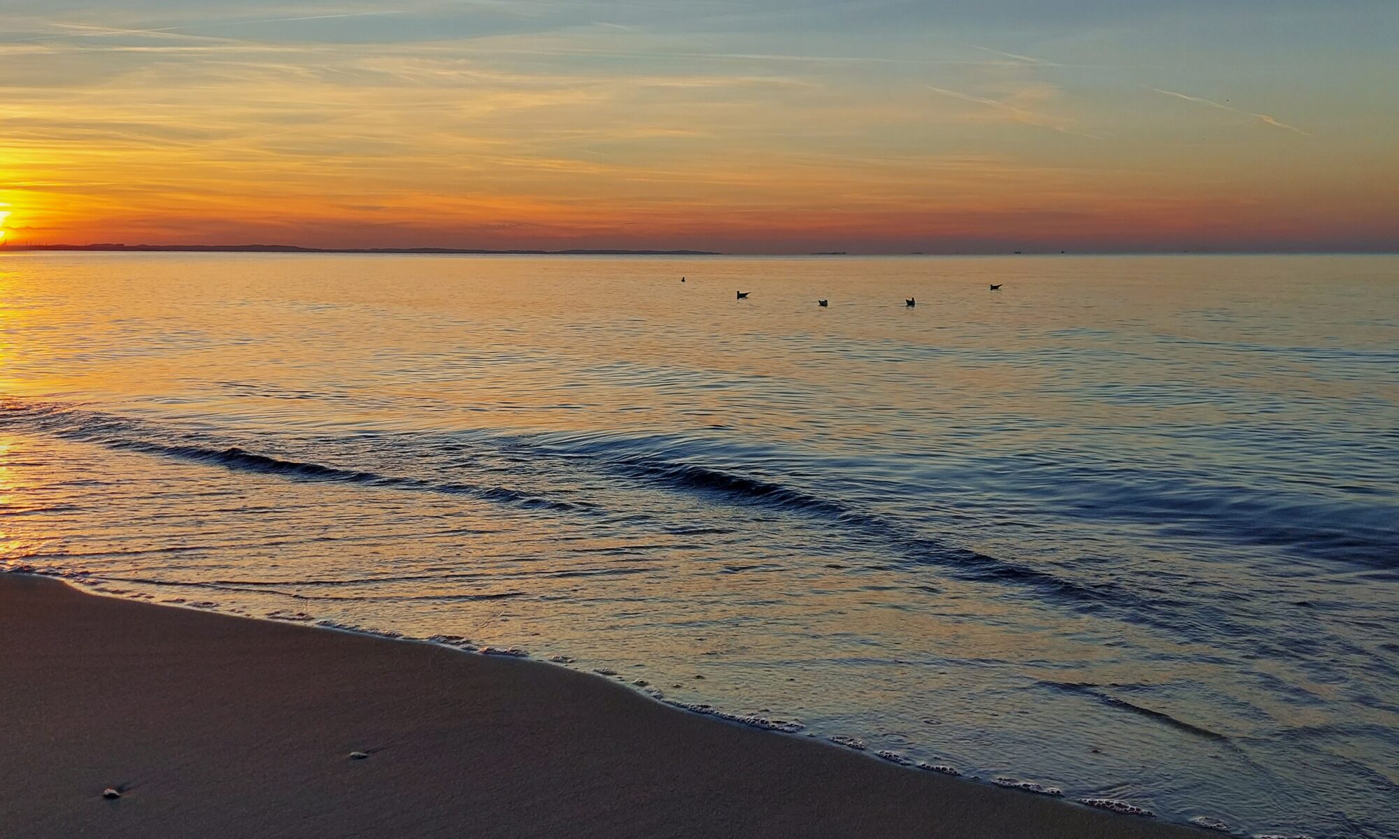 sunset