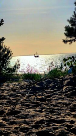 Żaglowiec na horyzoncie podczas zachodu słońca nad Bałtykiem