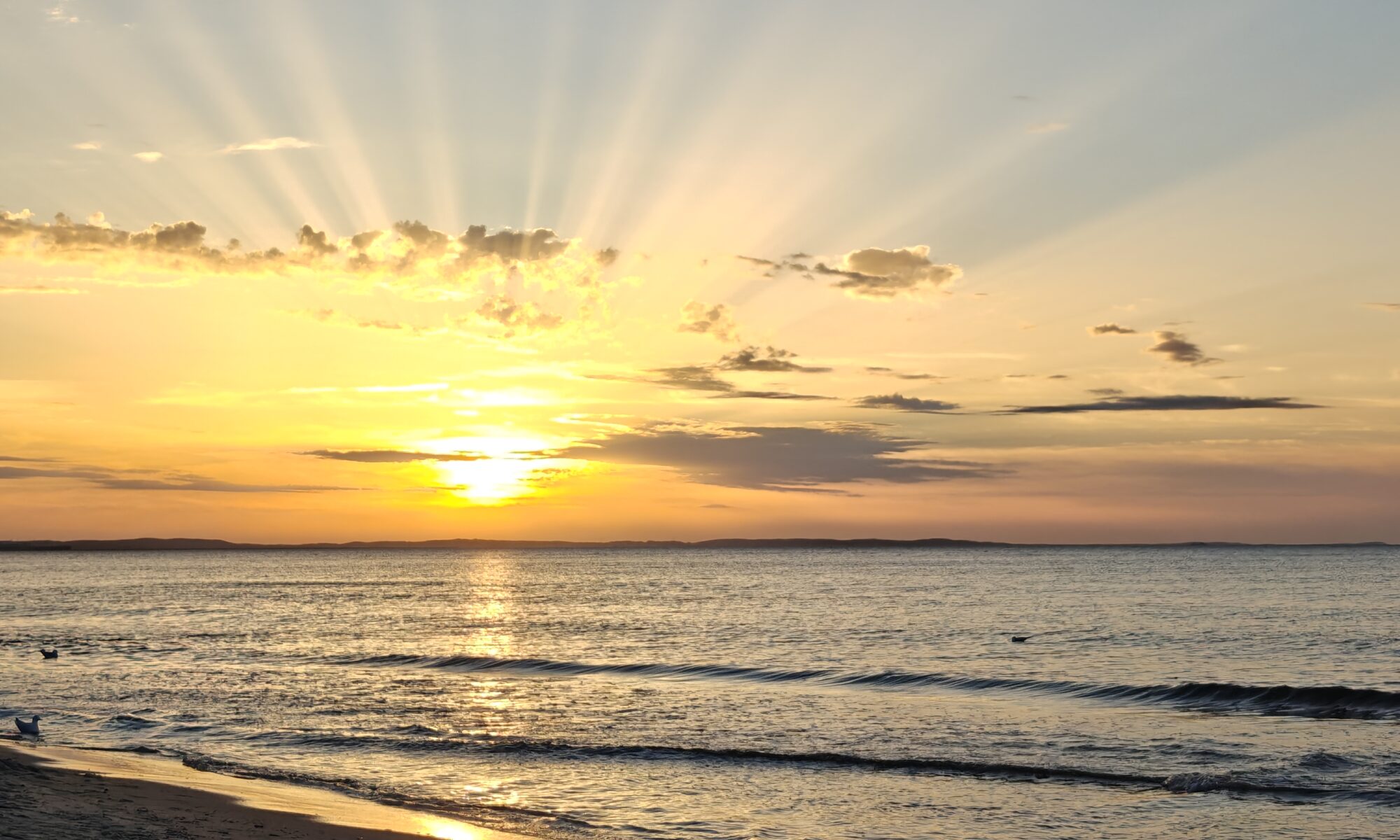 Panoramic golden sunset with sun rays over the Baltic Sea